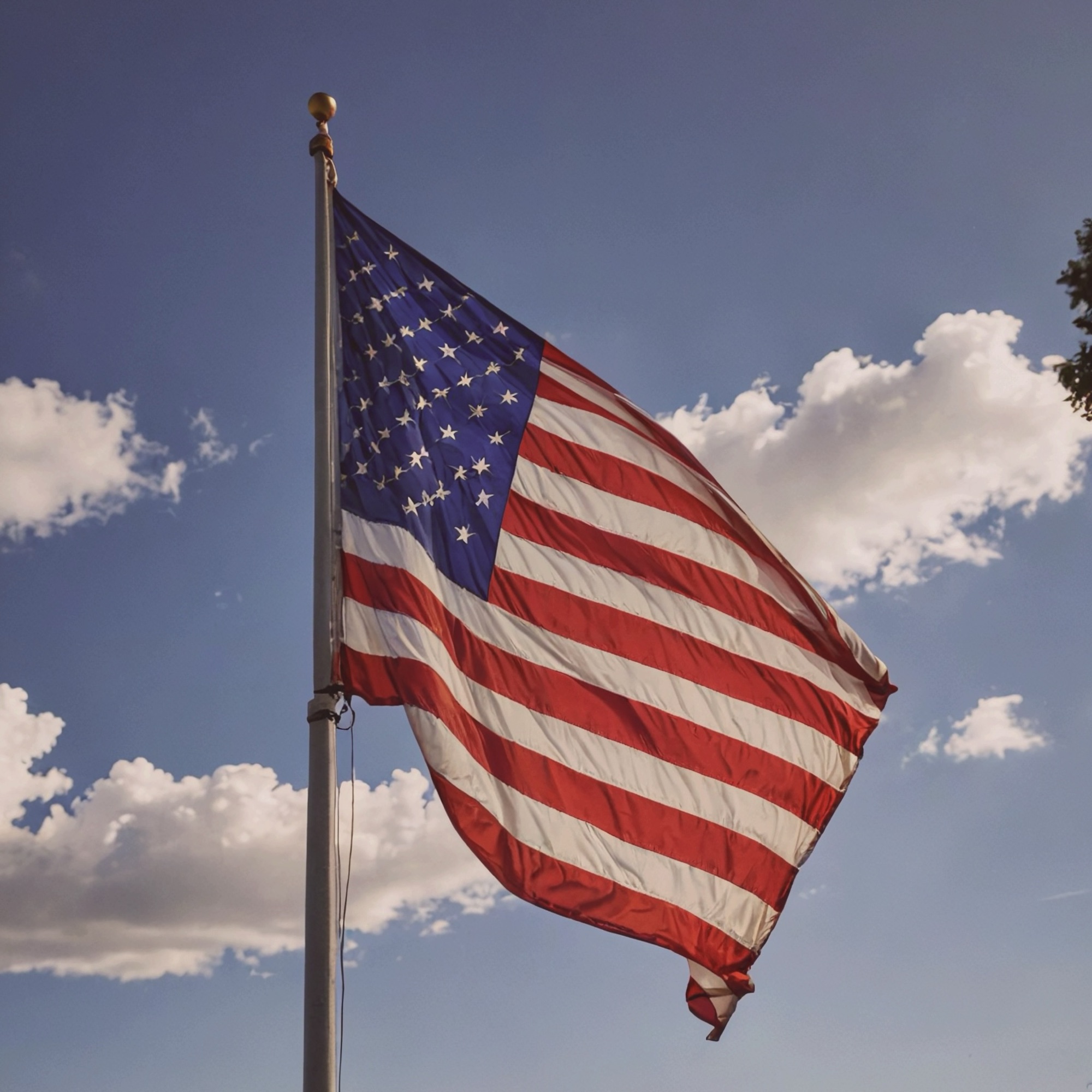 2024: The Election That Changed Everything